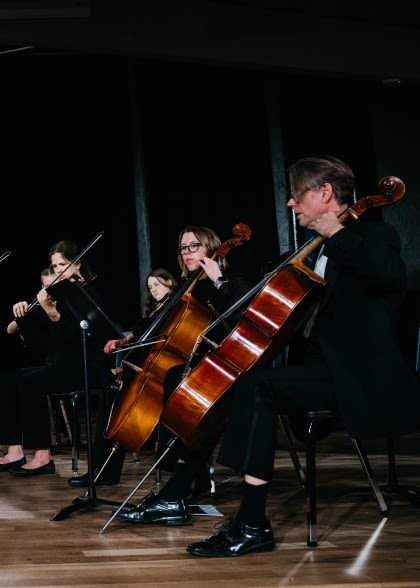 University Chamber Orchestra performer-in-the-chamber-strings-ensemble